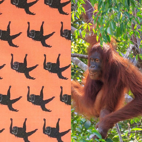 NEW! Save Wild Orangutans - Partner Collection