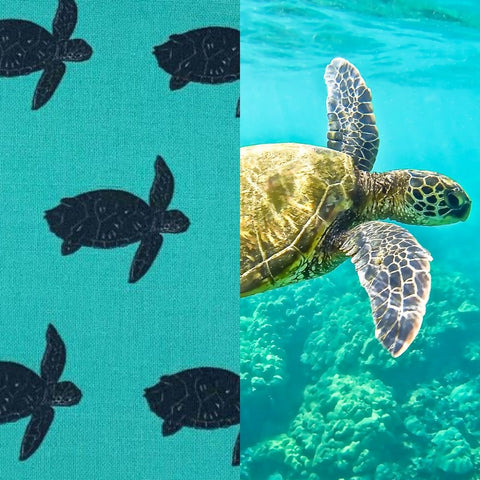 Sea Turtles